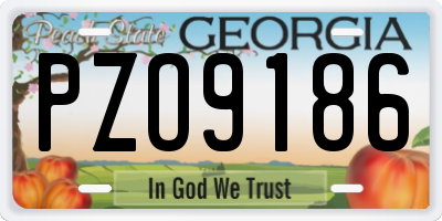 GA license plate PZO9186