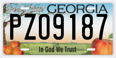 GA license plate PZO9187