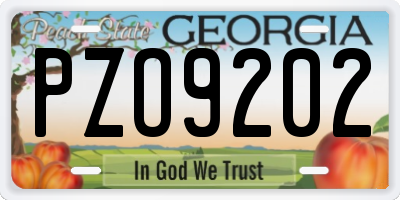 GA license plate PZO9202