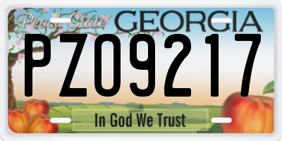GA license plate PZO9217