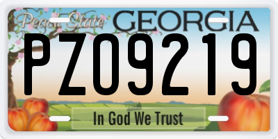 GA license plate PZO9219