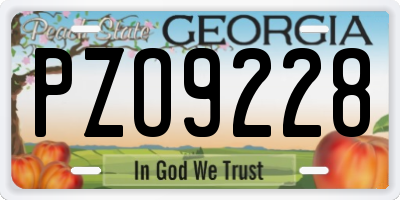 GA license plate PZO9228