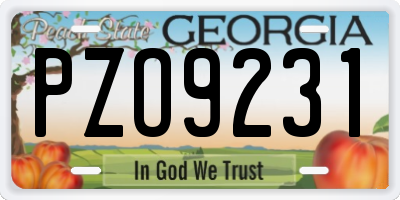 GA license plate PZO9231