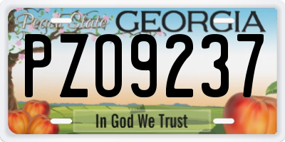 GA license plate PZO9237