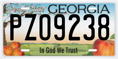 GA license plate PZO9238