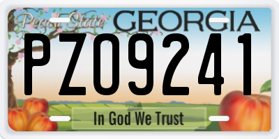 GA license plate PZO9241