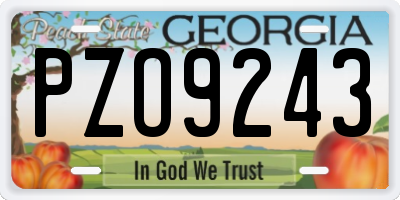 GA license plate PZO9243
