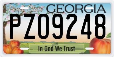 GA license plate PZO9248