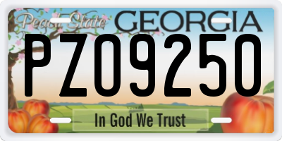 GA license plate PZO9250