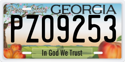 GA license plate PZO9253