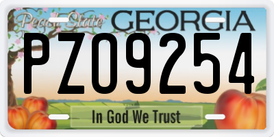 GA license plate PZO9254