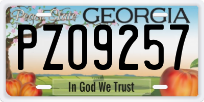 GA license plate PZO9257