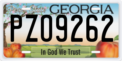 GA license plate PZO9262