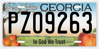 GA license plate PZO9263