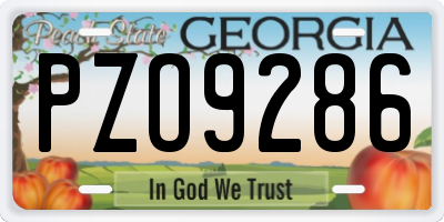 GA license plate PZO9286