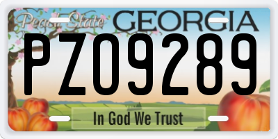 GA license plate PZO9289