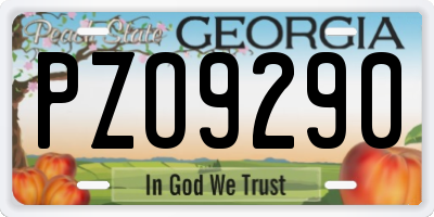 GA license plate PZO9290