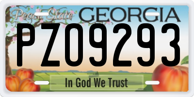 GA license plate PZO9293