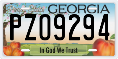 GA license plate PZO9294