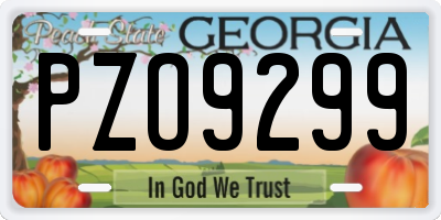 GA license plate PZO9299