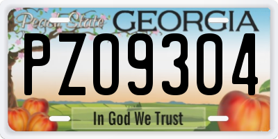 GA license plate PZO9304