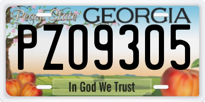 GA license plate PZO9305