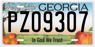 GA license plate PZO9307