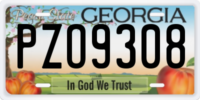 GA license plate PZO9308