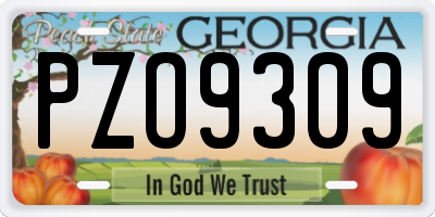 GA license plate PZO9309