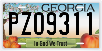 GA license plate PZO9311