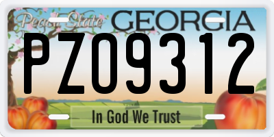 GA license plate PZO9312