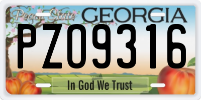 GA license plate PZO9316