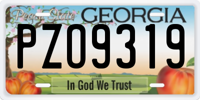 GA license plate PZO9319