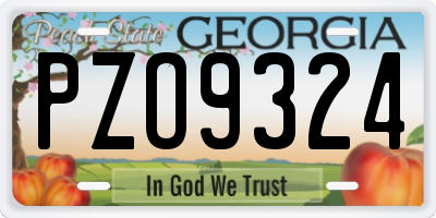 GA license plate PZO9324