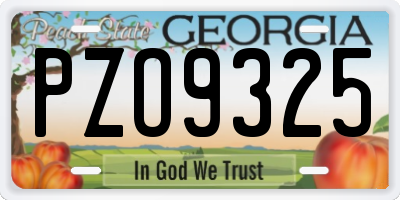 GA license plate PZO9325