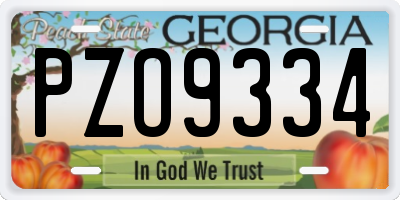 GA license plate PZO9334