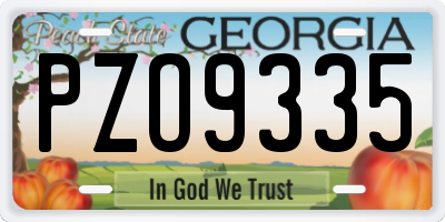 GA license plate PZO9335