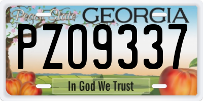 GA license plate PZO9337