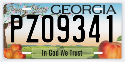 GA license plate PZO9341