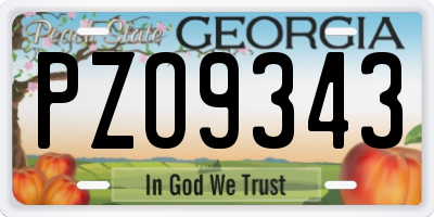 GA license plate PZO9343