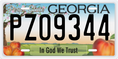 GA license plate PZO9344