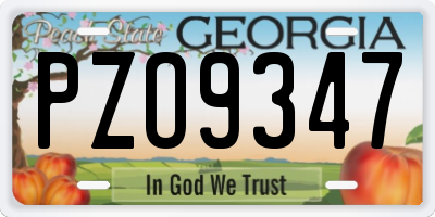 GA license plate PZO9347