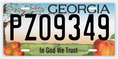 GA license plate PZO9349