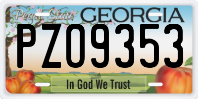 GA license plate PZO9353