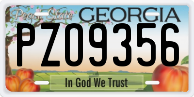 GA license plate PZO9356