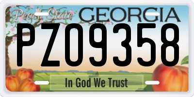 GA license plate PZO9358