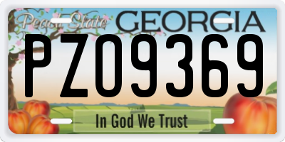 GA license plate PZO9369