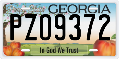 GA license plate PZO9372