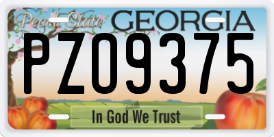 GA license plate PZO9375