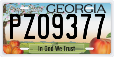 GA license plate PZO9377